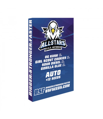 All Star USA Automix