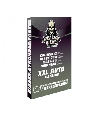 Dealer Deal Automix