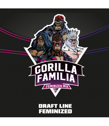 Gorilla Familia Feminized Mix