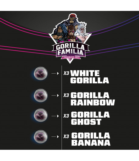 Gorilla Familia Feminized Mix