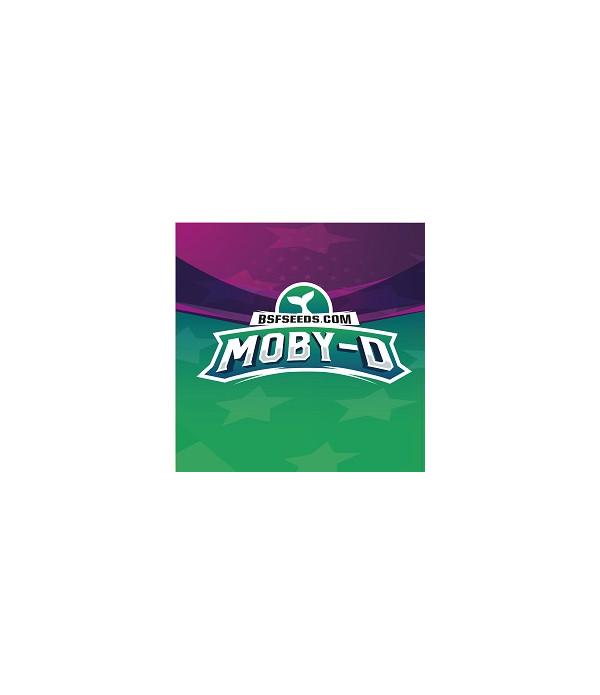 Moby-D Moby-D