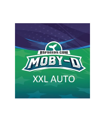 Moby-D XXL Auto