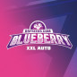 Blueberry XXL Auto Blueberry XXL Auto