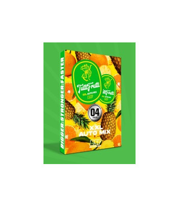 Tutti Frutti Auto mix