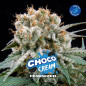 Choco Cream Choco Cream