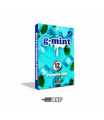 portada del blister de G Mint Feminizada de BSF seeds