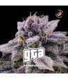 Foto cogollo GTA feminizada de BSF seeds