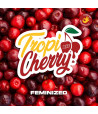diseño grafico de la Tropi Cherry feminizada de BSF seeds