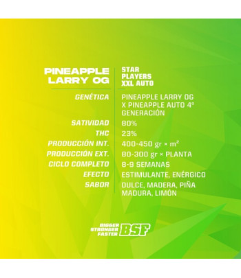 trasera del blister de la Pineapple LArry Og Autofloreciente de BSF