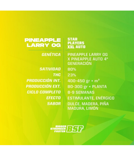Pineapple Larry OG XXL Auto