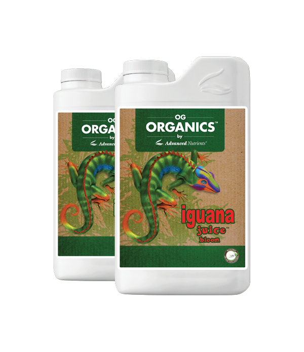 Organic Iguana Juice Bloom Organic Iguana Juice Bloom