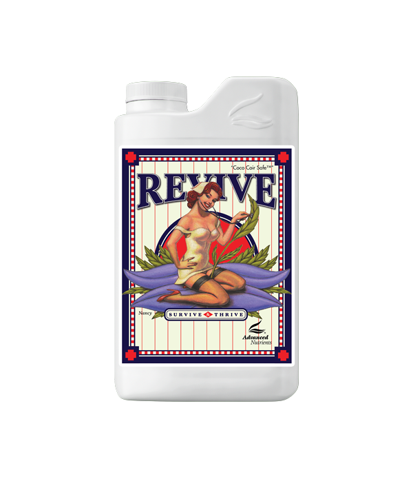 Revive Revive