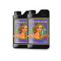 Sensi Bloom A+B Coco