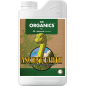 Ancient Earth Organic