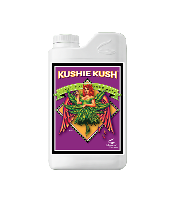 Kushie Kush