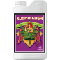Kushie Kush