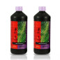 Coco A+B Atami B´cuzz Coco A+B Atami B´cuzz