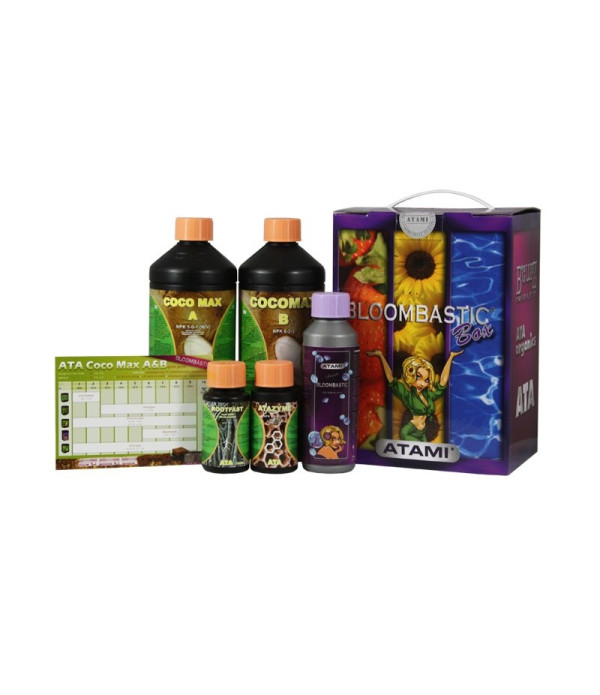 Bloombastic Terra Box