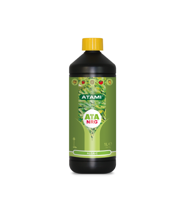 Alga C Alga C