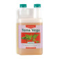 Terra Vega
