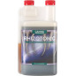 Rhizotonic