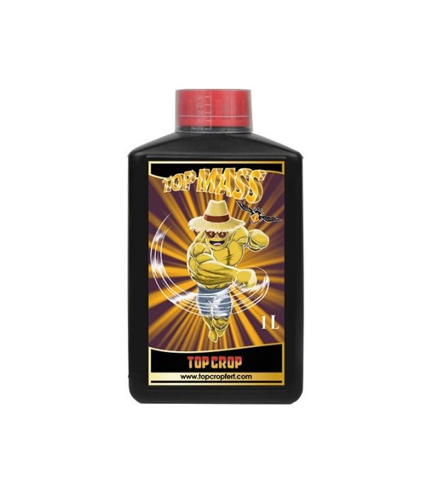 Top Mass