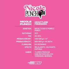 Trasera del blíster de la Nicole Punch feminizada de BSF seeds