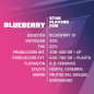 Blueberry