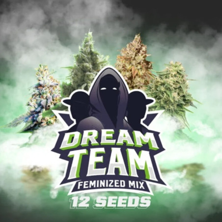 Cogollos de el mix Dream Team Fem de BSF Seeds