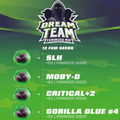 Tipos de Semillas que estan en el Mix Dream Team de BSF Seeds