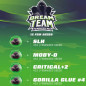 Dream Team Feminized Mix