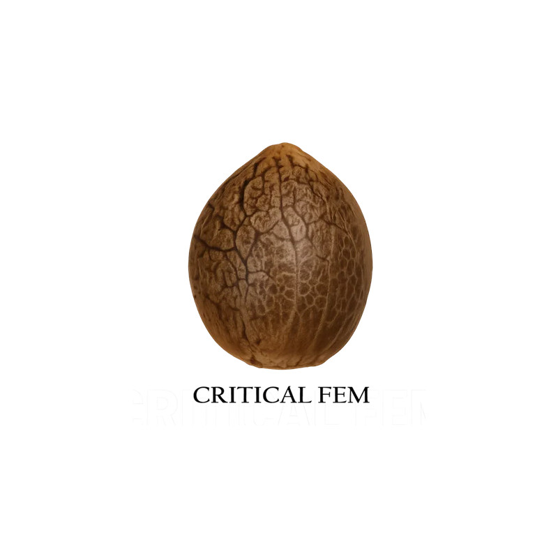 Critical