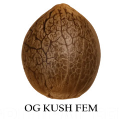 OG Kush