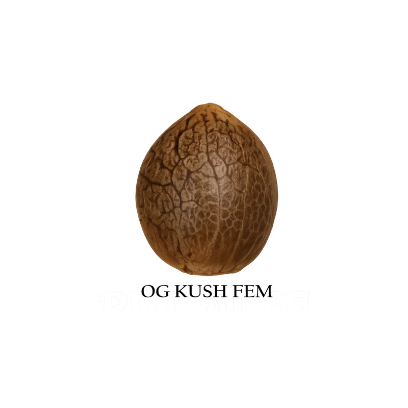 OG Kush