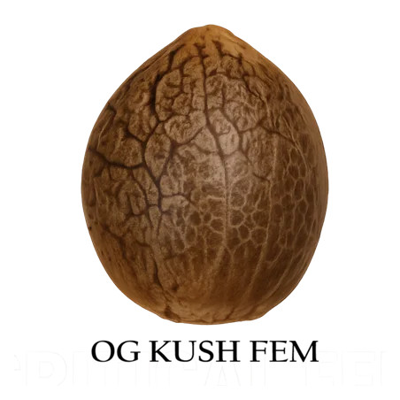OG Kush