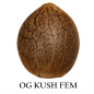 OG Kush