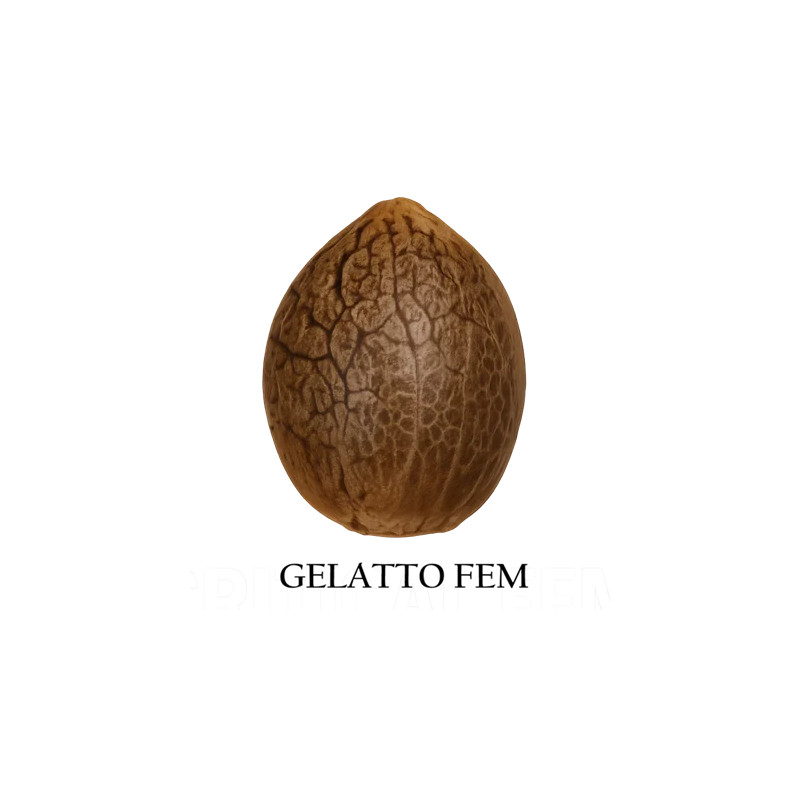 Gelatto