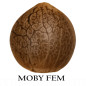 Moby