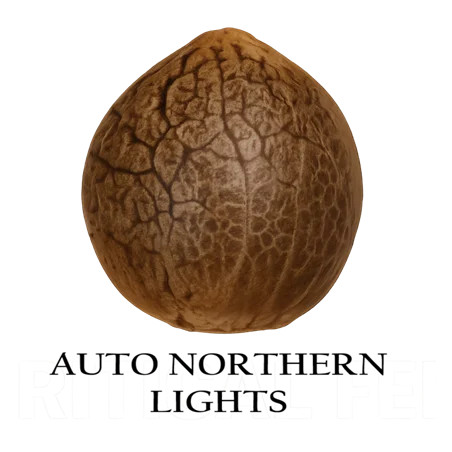 Semilla a granel de Northern Lights Autoflorenciente