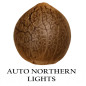 Auto Northern Lights
