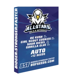 Portada de la All Stars U.S.A. Auto Mix.