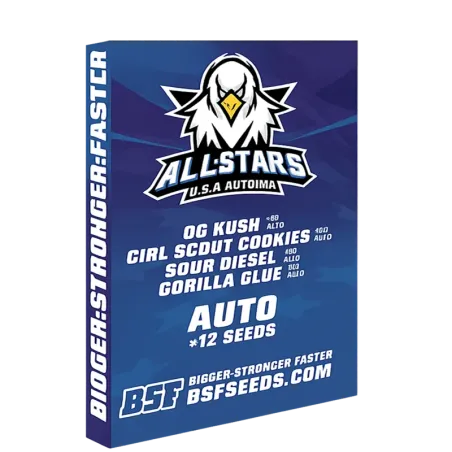 Portada de la All Stars U.S.A. Auto Mix.