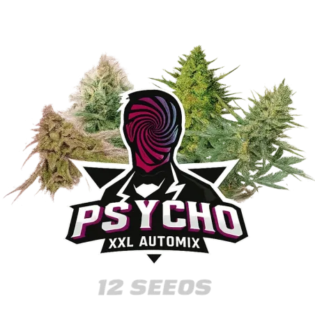 Cogollos de Psycho XXL Automix de BSF Seeds.
