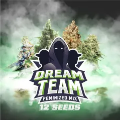 Portada del pack Dream Team BSF
