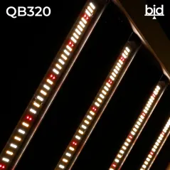 reparto de los led en el LED QB 320W bid Agrolite
