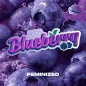 Blueberry