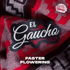 Portada de El Gaucho Faster de BSF Seeds
