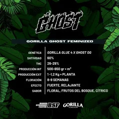 Características de la Gorilla Ghost Feminizada de BSF Seeds