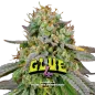 Gorilla Glue 4 Gorilla Glue 4