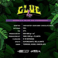 Características de la Gorilla Glue #4 de BSF Seeds